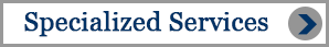 Specialized Services Button - Human Resources Consultants
